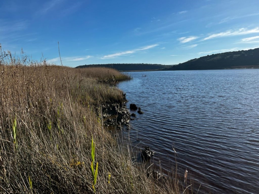 0 Bedroom Property for Sale in Infanta Western Cape